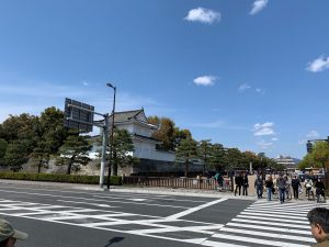 IMG 1975a